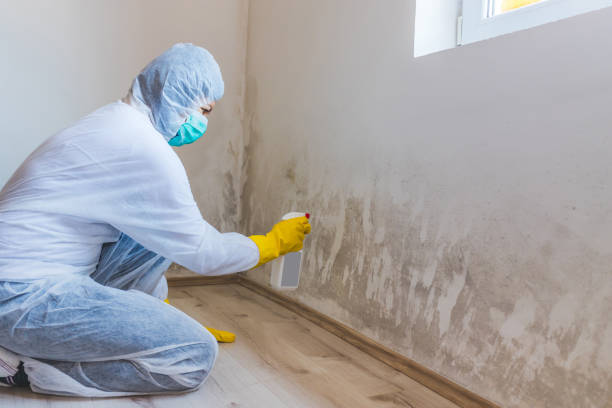Bathroom Mold Removal assessment in Empire bathroom